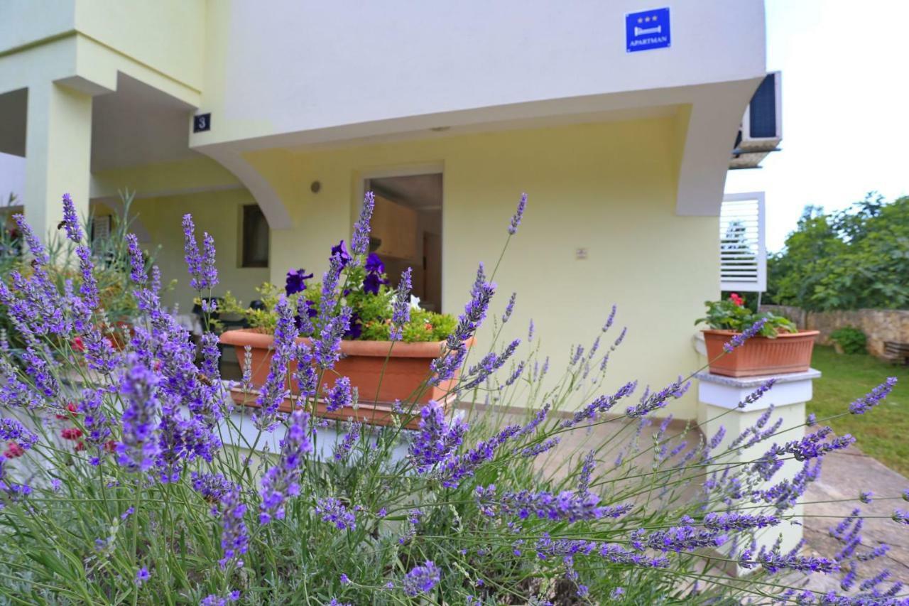 Apartments Romansa زاتون المظهر الخارجي الصورة